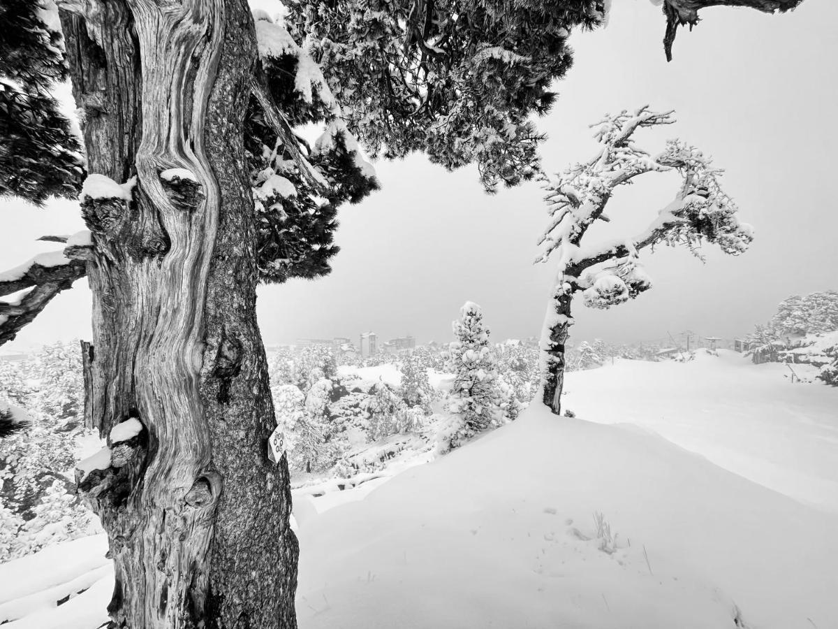 Atipic Lodge Arette Exteriér fotografie